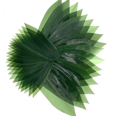 Feuilles en bambou fraîches Zongye 7.5cm de sashimi de décoration de sushi