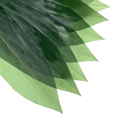 Feuilles en bambou fraîches Zongye 7.5cm de sashimi de décoration de sushi