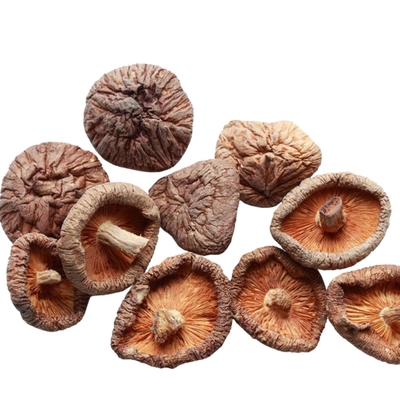 champignon de shiitaké sec de 100g 250g 1kg 3kg avec OIN HACCP de Statistiques financière internationale de BRC