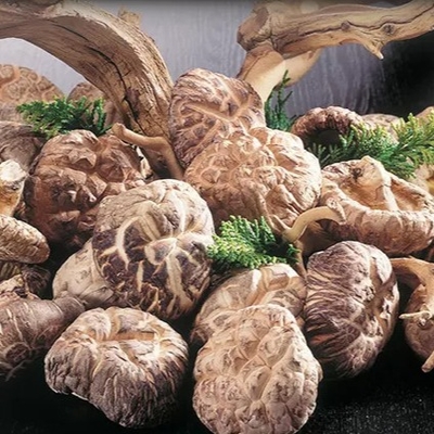 Années extérieures douces sèches saines de durée de conservation du champignon de shiitaké 1kg 2