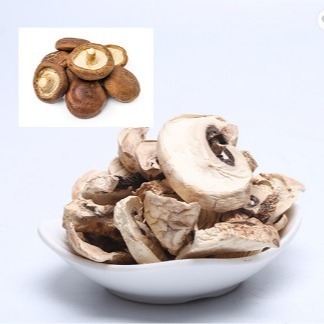 le volume sec japonais de sac de culture de champignon de shiitaké de 10x10mm Brown