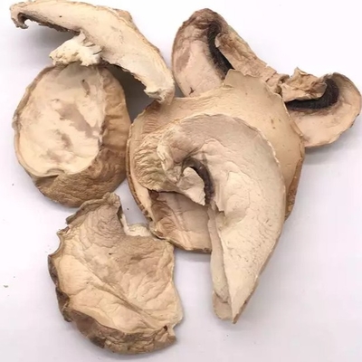 le volume sec japonais de sac de culture de champignon de shiitaké de 10x10mm Brown