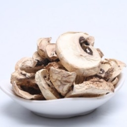 le volume sec japonais de sac de culture de champignon de shiitaké de 10x10mm Brown
