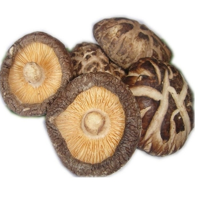 Japonais sec de champignon de shiitaké de HACCP 1kg 3kg avec le bon goût