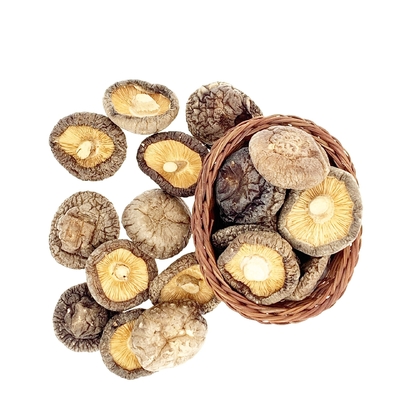 Japonais sec de champignon de shiitaké de HACCP 1kg 3kg avec le bon goût