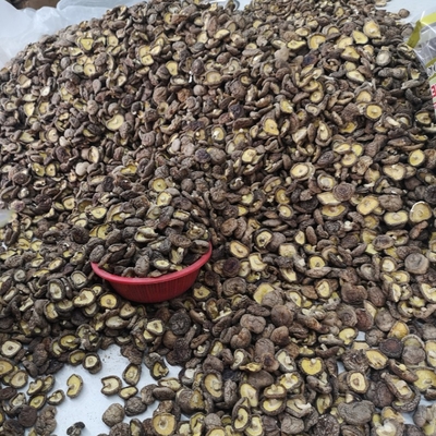 Le champignon de shiitaké sec en vrac naturel a séché des champignons de shiitaké organiques