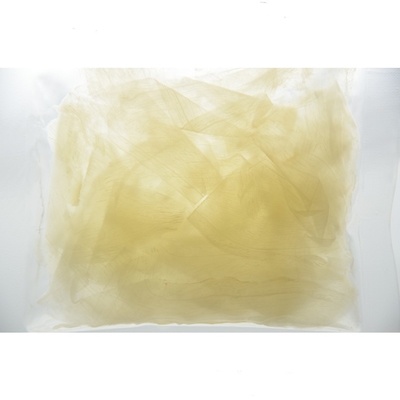 HACCP 10g découpé en tranches à emporter a mariné des sushi Ginger In Sweet Vinegar