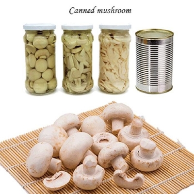 Légumes fruits en boîte de champignon de champignon de paris mâchant des tranches de champignon